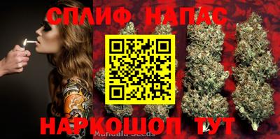 кокаин перу Кингисепп