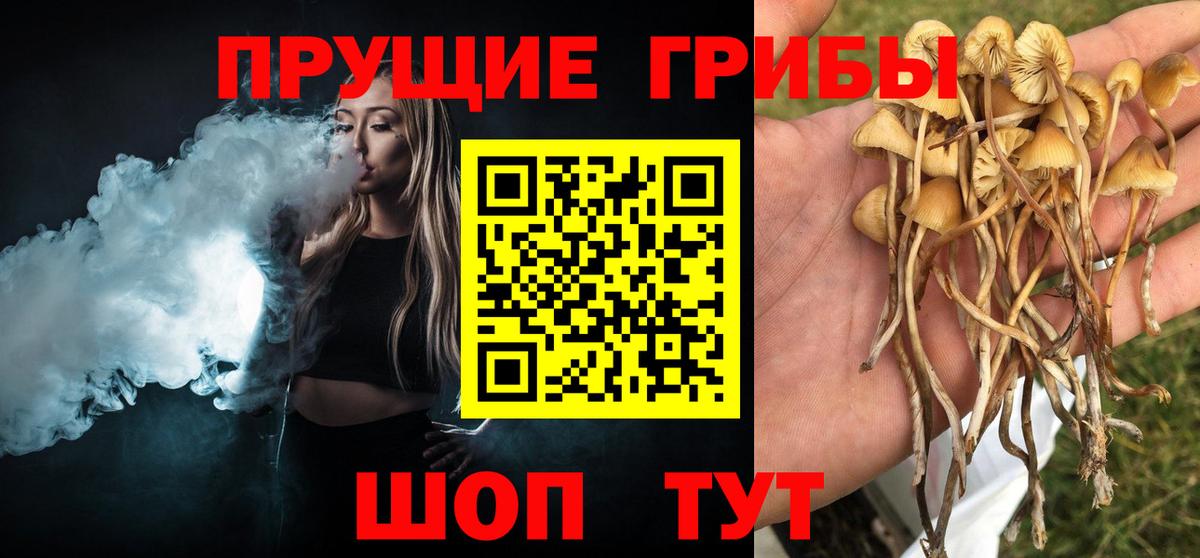 Котовск  Галлюциногенные грибы ЛСД  Вход с VPN 